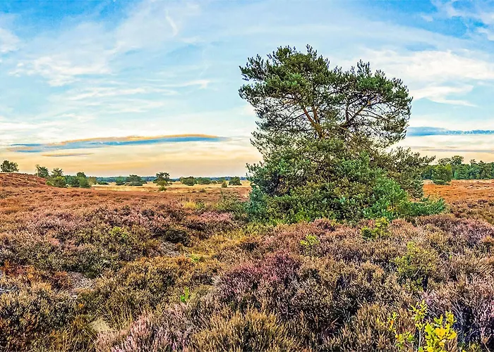 2 Bedroom Amazing In *