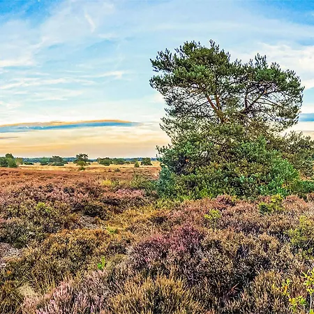 2 Bedroom Amazing In *